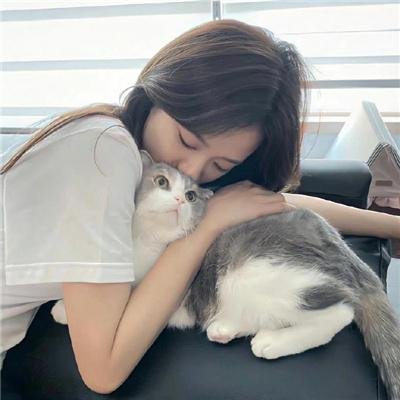 羊狼共和国：猪事大急